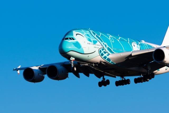 ANAエアバスA380
