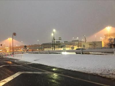 成田空港大雪の様子