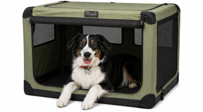 Pet Fees